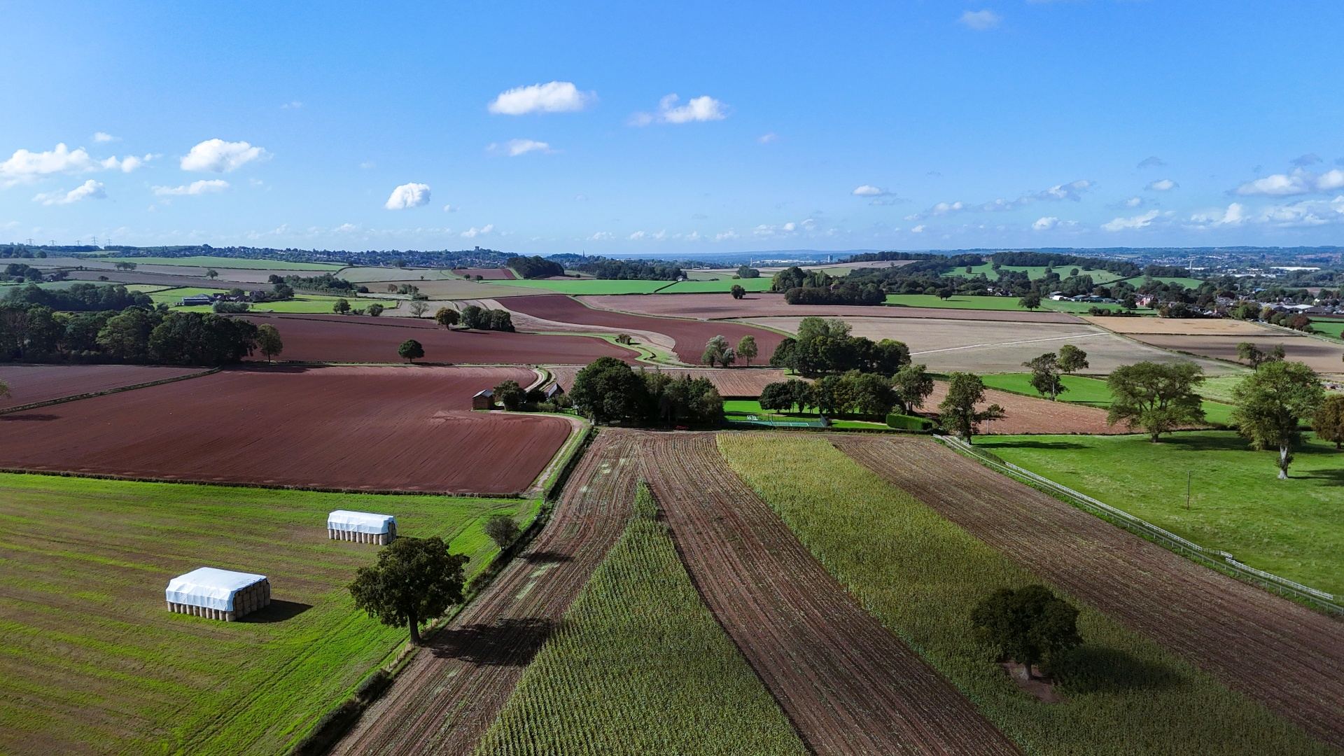Agriculture & Land — image 5 of 8
