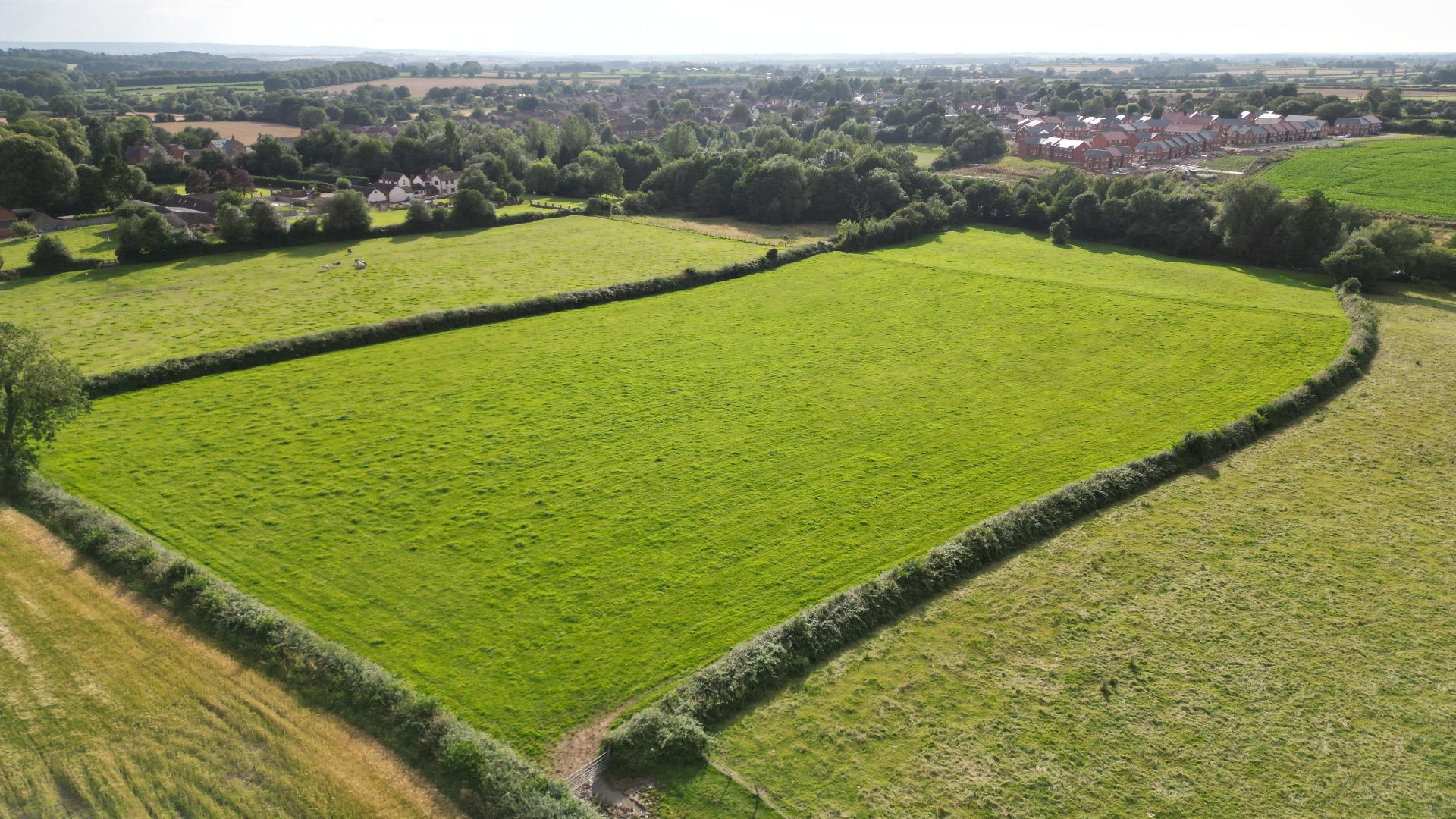 Agriculture & Land — image 3 of 8