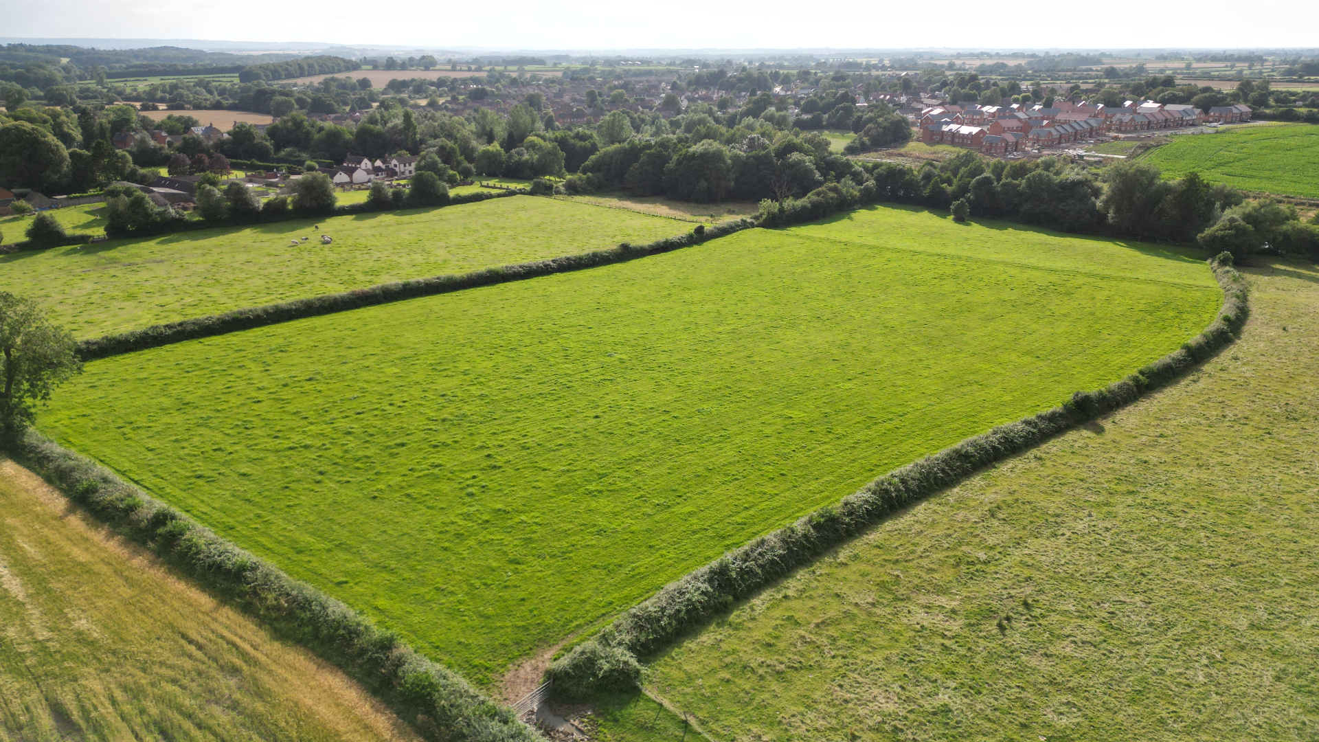 Agriculture & Land — image 3 of 8