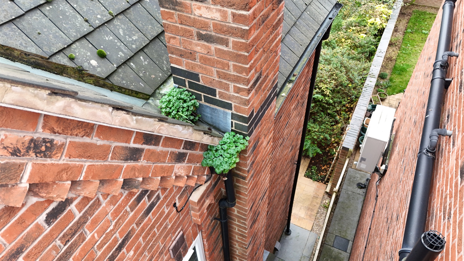 Chimney & Flashing Survey