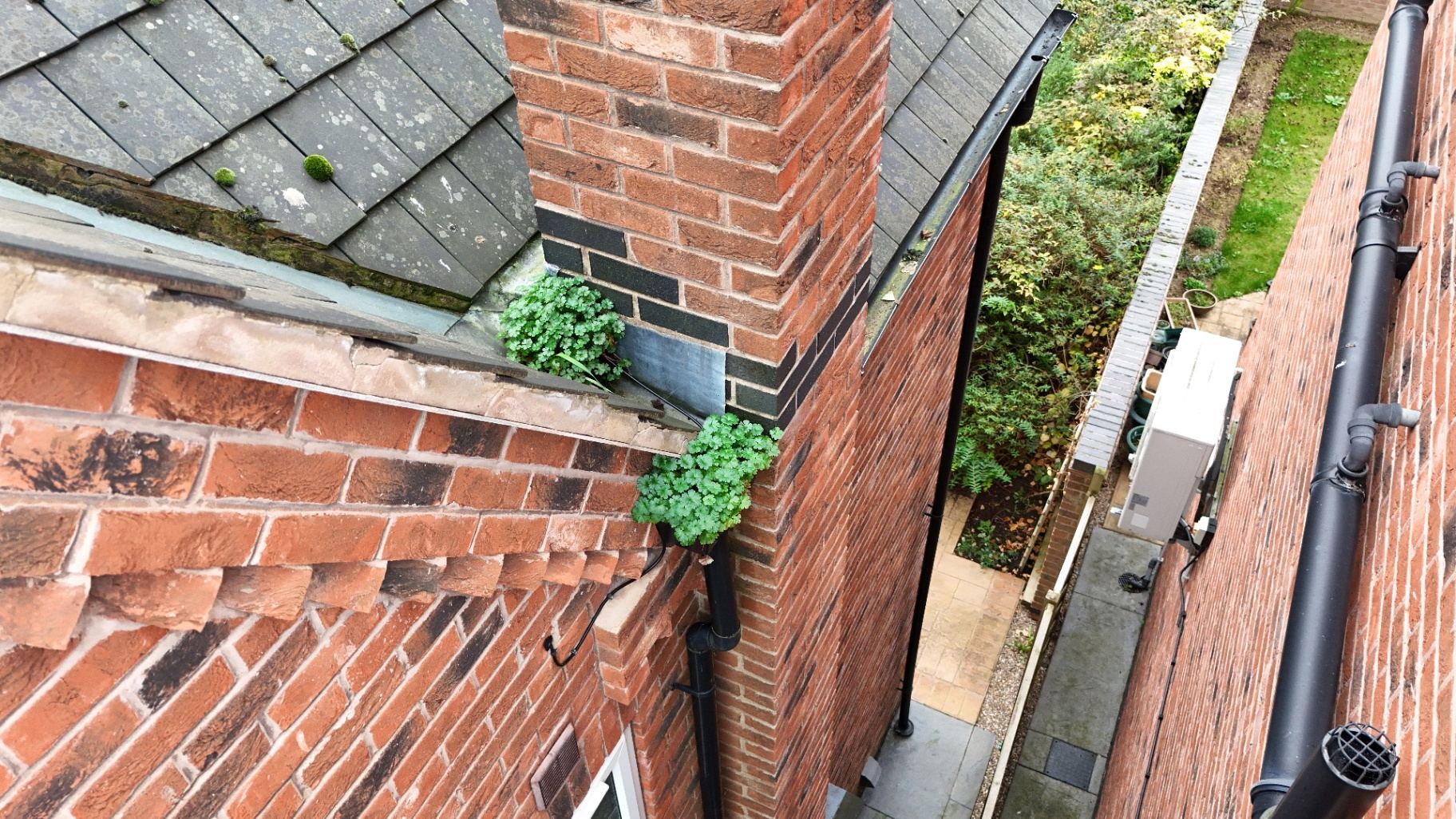 Chimney & Flashing Survey